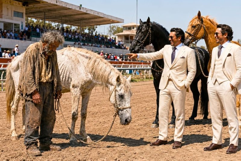 Zombaram do cavalo magro de um idoso, sem saber que, 8 anos antes, aquele mesmo animal havia vencido a corrida que todos acreditavam ser impossível.